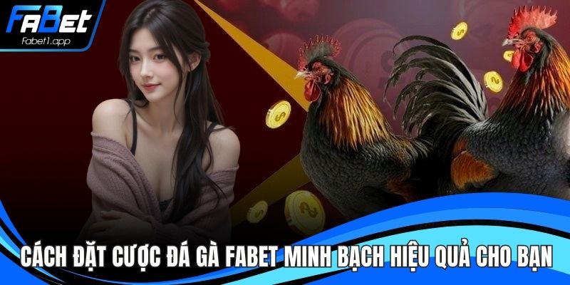 Cách Đặt Cược Đá Gà FABET Minh Bạch Hiệu Quả Cho Bạn