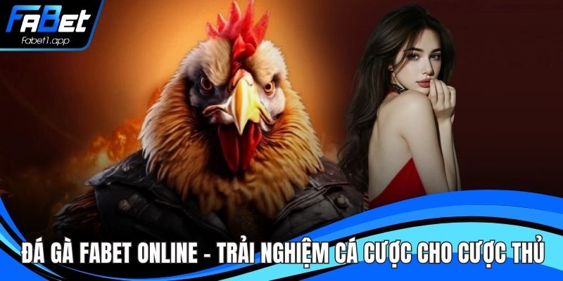 Đá Gà FABET Online – Trải Nghiệm Cá Cược Cho Cược Thủ