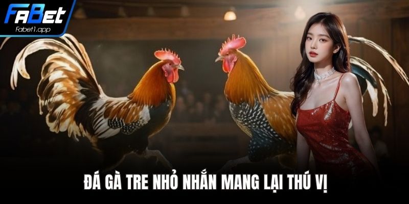 Đá gà tre nhỏ nhắn mang lại thú vị