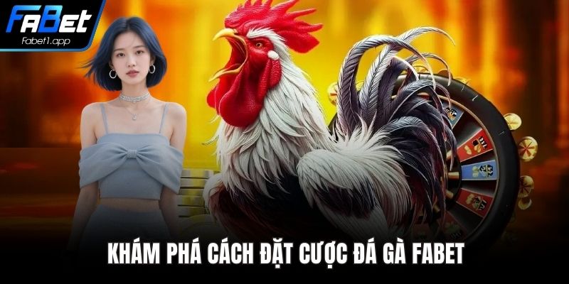 Khám phá cách đặt cược đá gà FABET