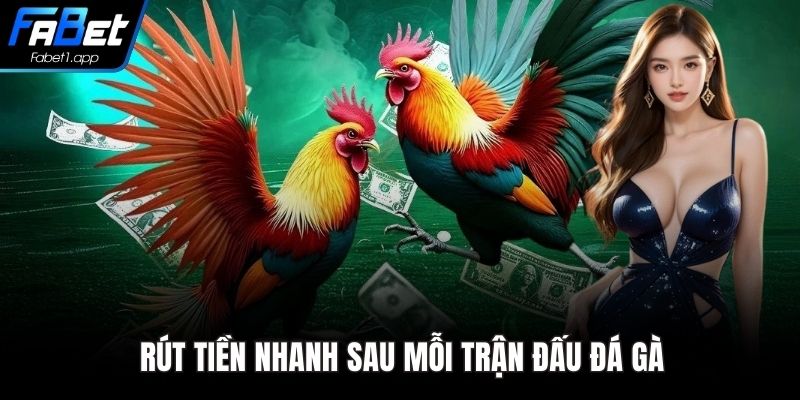 Rút tiền nhanh sau mỗi trận đấu đá gà