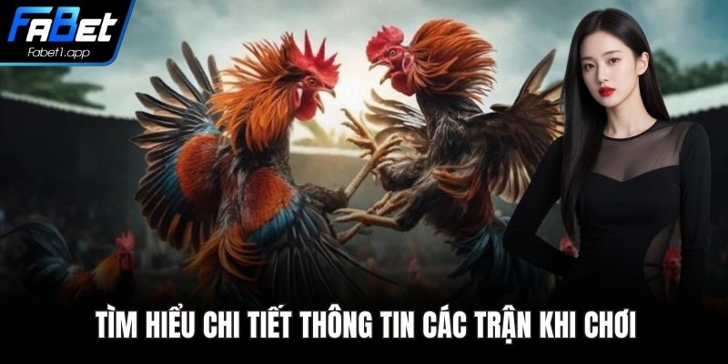 Tìm hiểu chi tiết thông tin các trận khi chơi