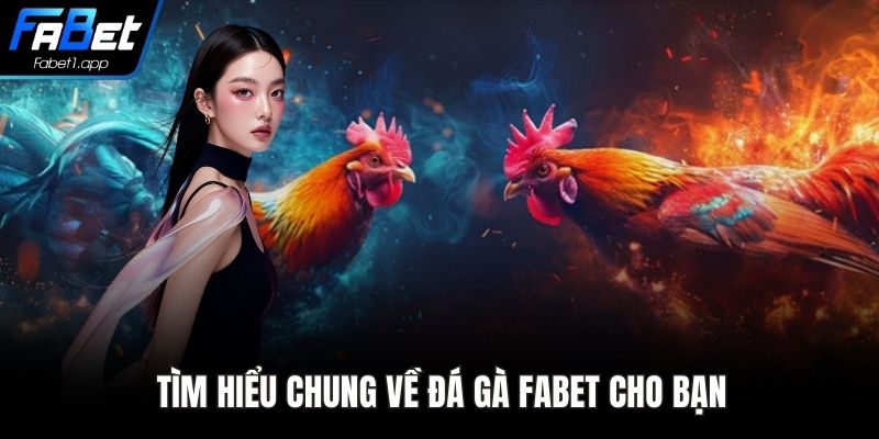Tìm hiểu chung về đá gà FABET cho bạn