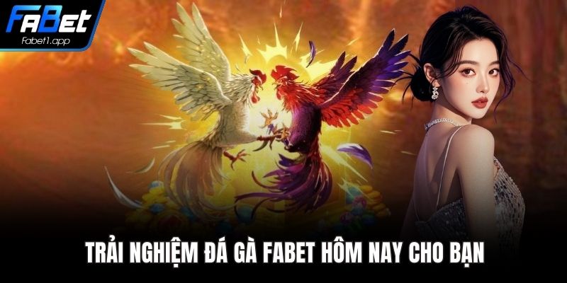 Trải nghiệm đá gà FABET hôm nay cho bạn